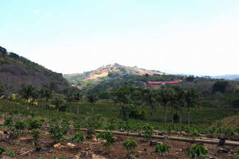 Field Notes: Costa Rica