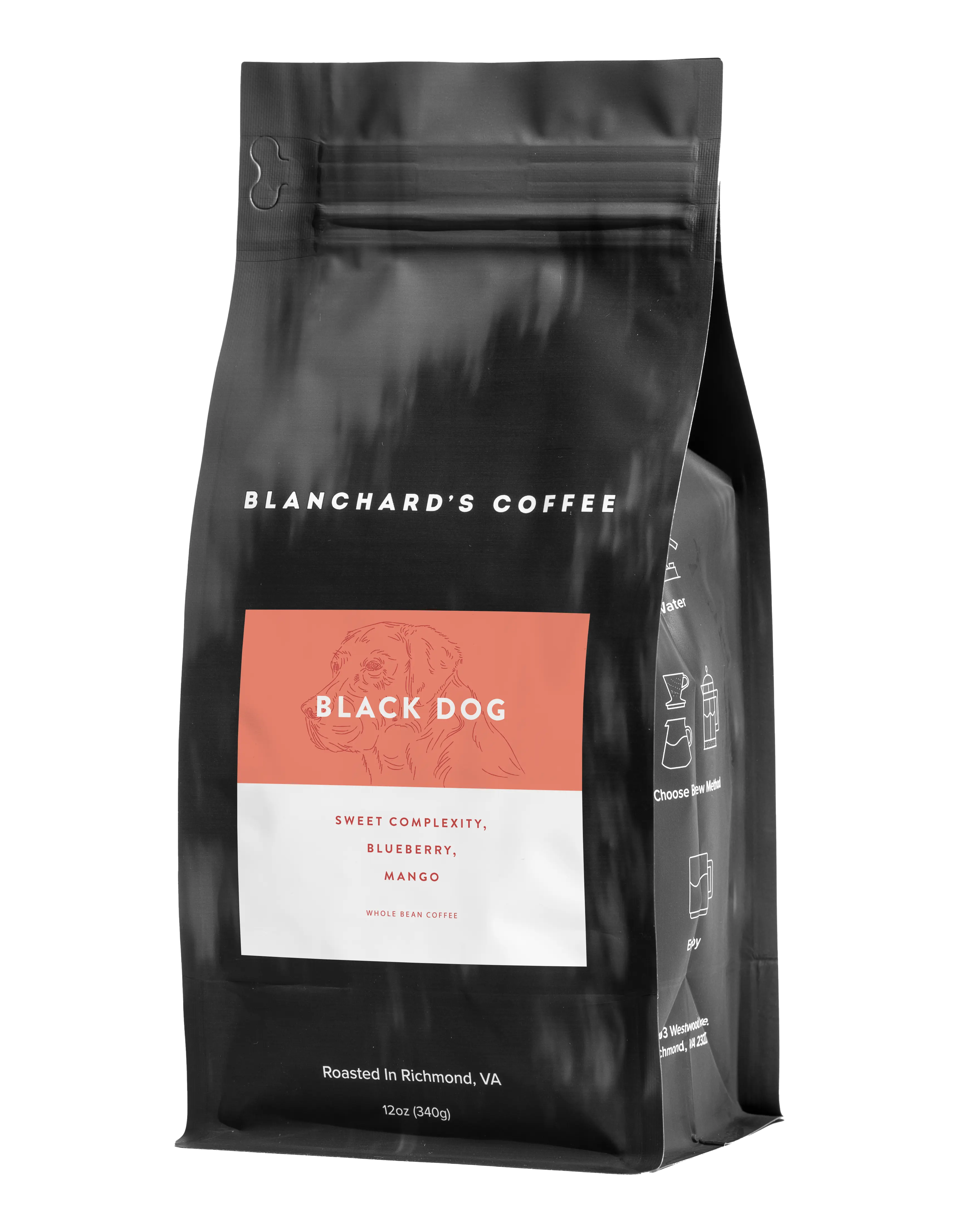Black Dog