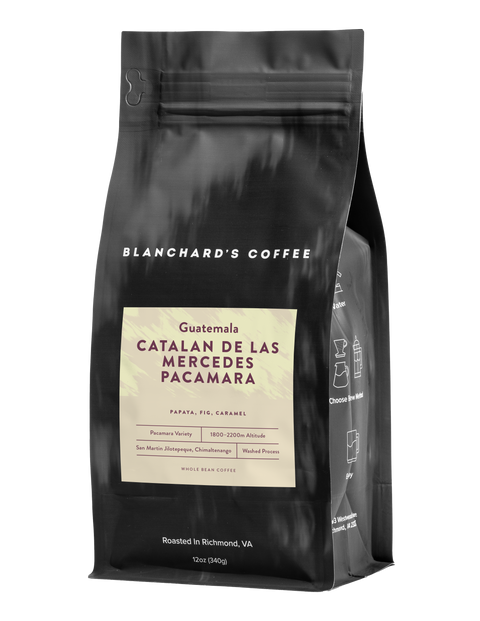 Catalan De Las Mercedes Pacamara