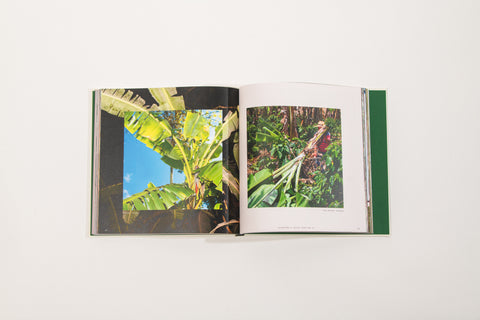 20th Anniversary Book