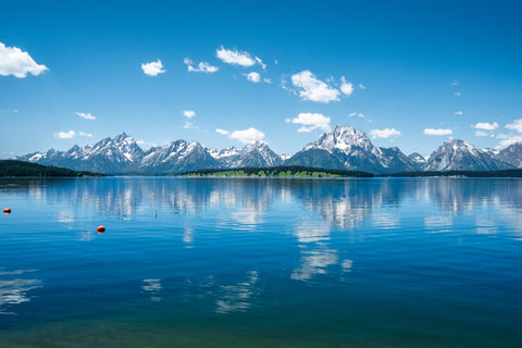 FIFTY STATES. FIFTY CUPS OF COFFEE